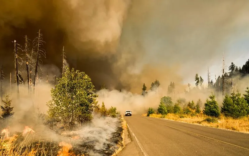 Car driving on a road out of a column of wildfire smoke.