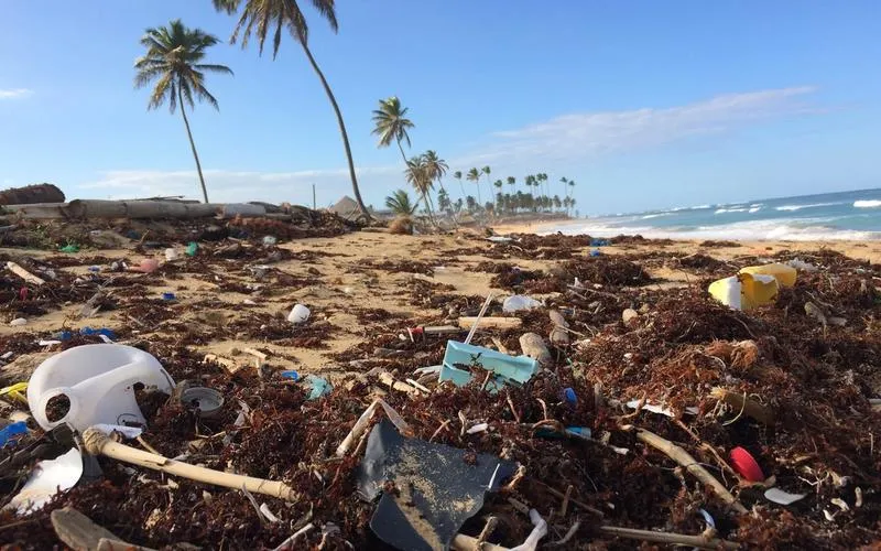 Polluted beach.